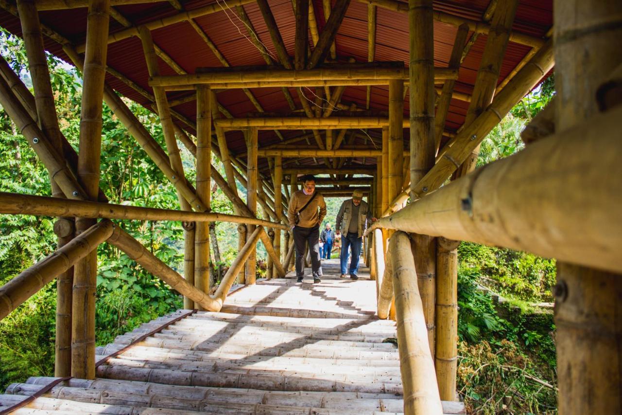 Hacienda Charrascal Coffe Farm Lejlighed Manizales Eksteriør billede