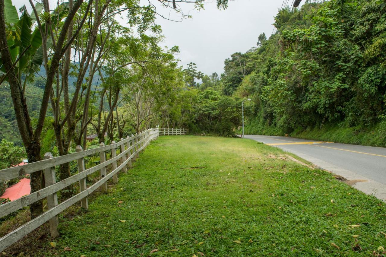 Hacienda Charrascal Coffe Farm Lejlighed Manizales Eksteriør billede